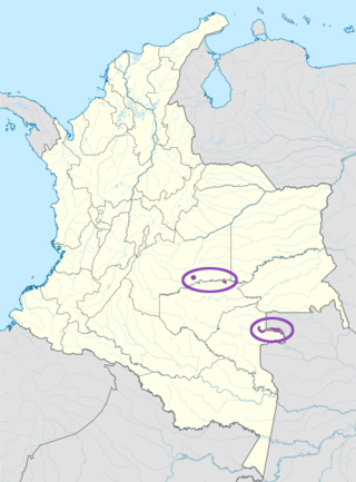 <span class="mw-page-title-main">Wanano language</span> Tucanoan language spoken in Brazil and Colombia