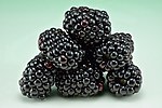 Thumbnail for File:Blackberries (Rubus fruticosus).jpg