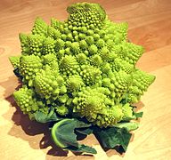 Viridis caput romanesco dictum