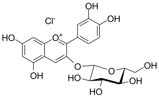 <span class="mw-page-title-main">Chrysanthemin</span> Chemical compound