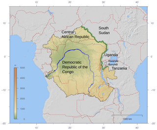 <span class="mw-page-title-main">Congo–Nile Divide</span> Continental divide in Africa