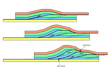 Diagram showing development of thrust-bounded horses within a thrust duplex Duplex1.png