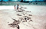 サカパ県グアランのモタグア断層