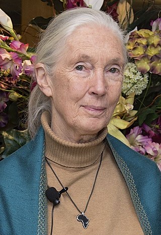 <span class="mw-page-title-main">The Trimates</span> Jane Goodall, Dian Fossey, and Birutė Galdikas