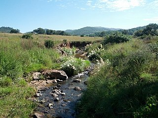 <span class="mw-page-title-main">Klipriviersberg Nature Reserve</span> Largest nature reserve in Johannesburg