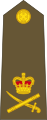 Lieutenant-general[38] (New Zealand Army)