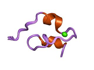 <span class="mw-page-title-main">Notch proteins</span> Protein family