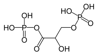 <span class="mw-page-title-main">1,3-Bisphosphoglyceric acid</span> Chemical compound