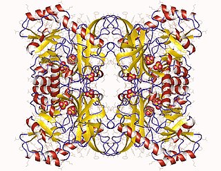 <span class="mw-page-title-main">Alanine racemase</span>