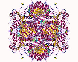 <span class="mw-page-title-main">Flavin prenyltransferase (UbiX)</span>