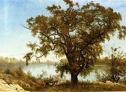 Albert Bierstadt A View From Sacramento.jpg