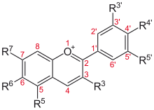 Structure of anthocyanins, the blue pigments in elderberries Anthocyanidine.svg