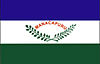 Flag of Manacapuru