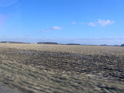 Bloomfield Township consists generally of flat farmland with scattered copses of trees.