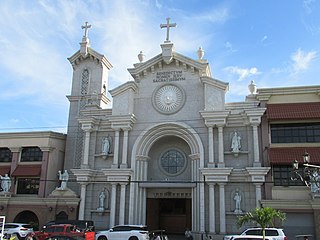 <span class="mw-page-title-main">Roman Catholic Diocese of Cabanatuan</span> Roman Catholic diocese in the Philippines