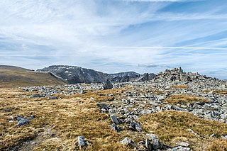 <span class="mw-page-title-main">Carnedd Gwenllian</span> Mountain summit in Wales