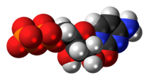 Space-filling model of the Cytidine diphosphate molecule as an anion (3- anion)