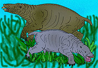 Desmostylus & Paleoparadoxia