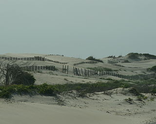 Pea Island National Wildlife Refuge