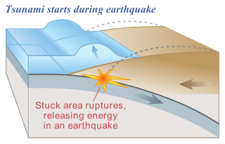 <span class="mw-page-title-main">Submarine earthquake</span> Earthquake that occurs under a body of water, especially an ocean