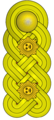 General de division[28] (Venezuelan Army)