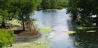 <span class="mw-page-title-main">Green Cay Wetlands</span> Nature preserve in Boynton Beach, Florida