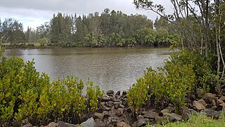 <span class="mw-page-title-main">Lansdowne River</span> River in New South Wales, Australia