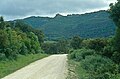 Parque Natural Los Alcornocales