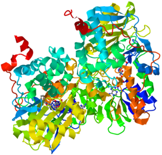 <span class="mw-page-title-main">Monoamine oxidase inhibitor</span> Type of medication