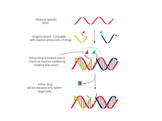 <span class="mw-page-title-main">Nucleic acid templated chemistry</span>