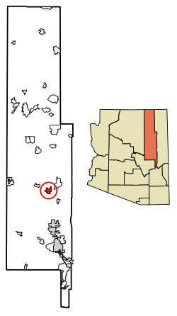 Location of Holbrook in Navajo County, Arizona