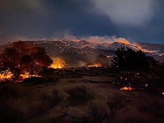 <span class="mw-page-title-main">2020 Nevada wildfires</span>