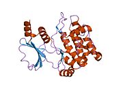 PDB 1yhw EBI.jpg