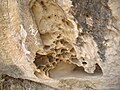 Vacuoles issues de météorisation par le sel, roche calcaire près de Qobustan (Azerbaijan).