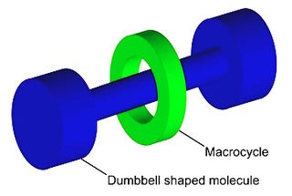 <span class="mw-page-title-main">Rotaxane</span> Interlocked molecular structure resembling a dumbbell