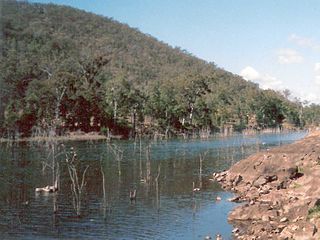 <span class="mw-page-title-main">Stanley River (Queensland)</span> River in Queensland, Australia