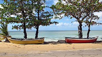 Near Schoolyards Beach