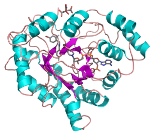 <span class="mw-page-title-main">AKR1B1</span>