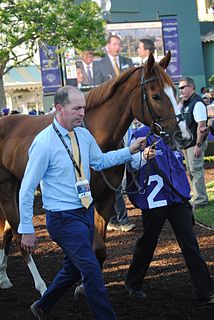 Alice Springs (horse) Irish-bred Thoroughbred racehorse