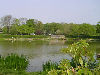 <span class="mw-page-title-main">Henfield, Gloucestershire</span> Human settlement in England