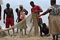 Fishermen at work, 2010