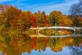 Fall Foliage in Central Park