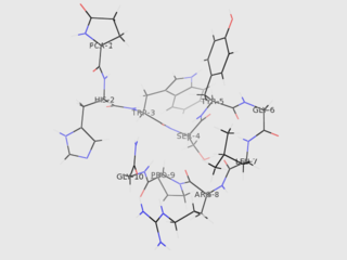 <span class="mw-page-title-main">Gonadotropin-releasing hormone</span> Mammalian protein found in Homo sapiens