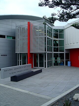 <span class="mw-page-title-main">National Aquarium of New Zealand</span> Aquarium in Napier, New Zealand