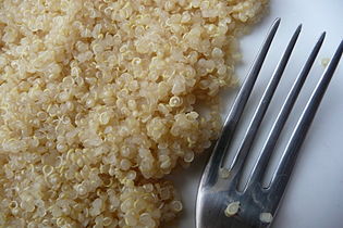 Cooked Quinoa