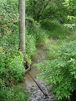 A stream in Miami Bend.