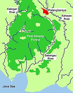 Sabangau National Park