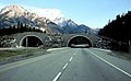 Écoduc conçu pour la traversée des ours au-dessus de l'autoroute Trans-Canada Highway dans l'Alberta,dans le Parc National de Banff.