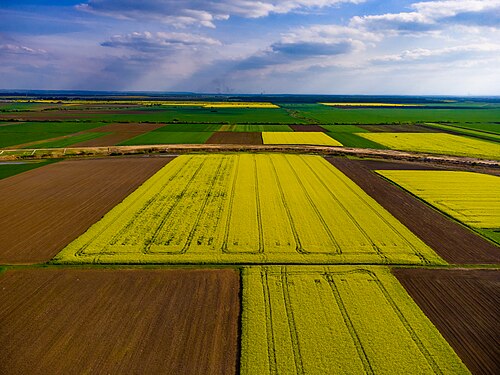 Colorful Vojvodina. Fruška Gora National park. Photograph: MarkoDekic