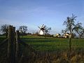 Windmolen bij Haseloff